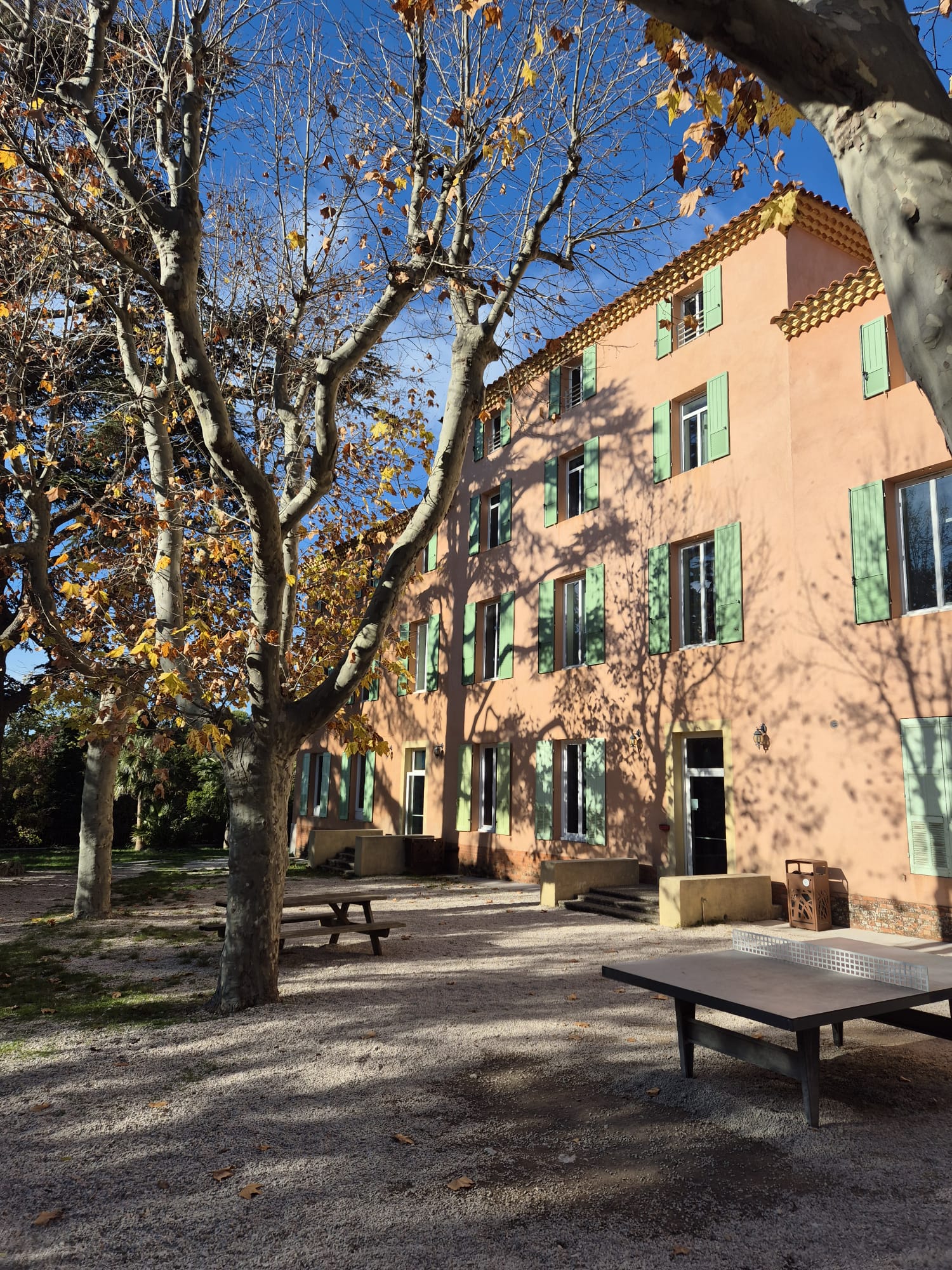 Description of the image